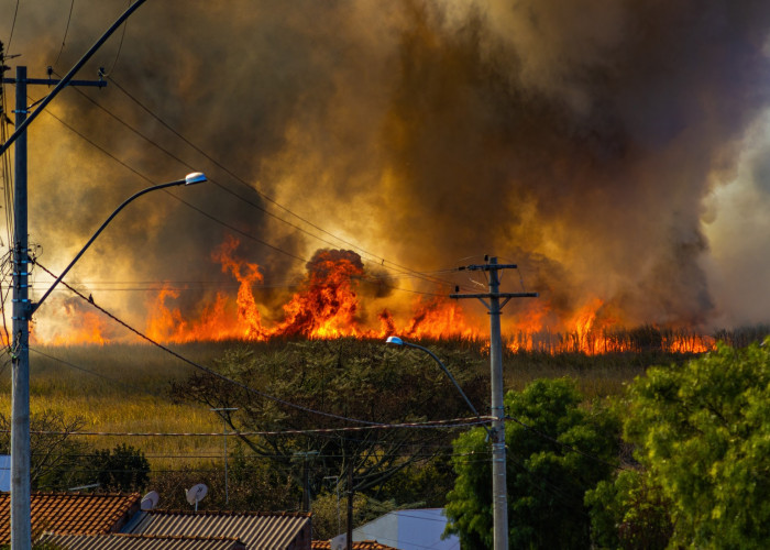How Can You Protect Your Property From A Wildfire?