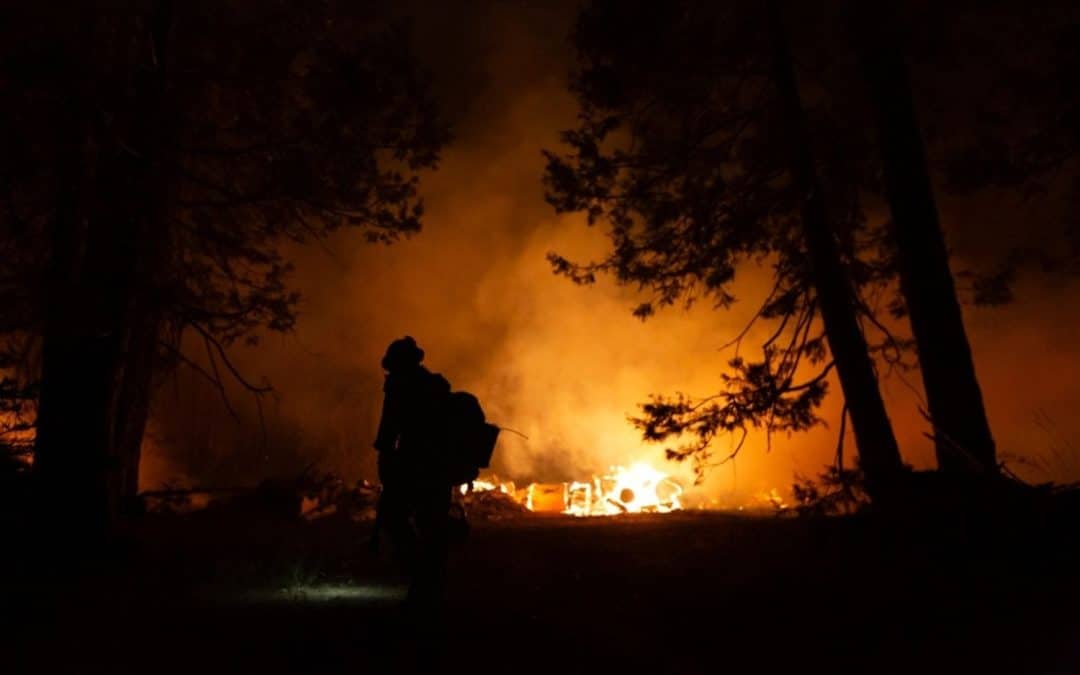 Effective Ember Defense Solutions for California Properties